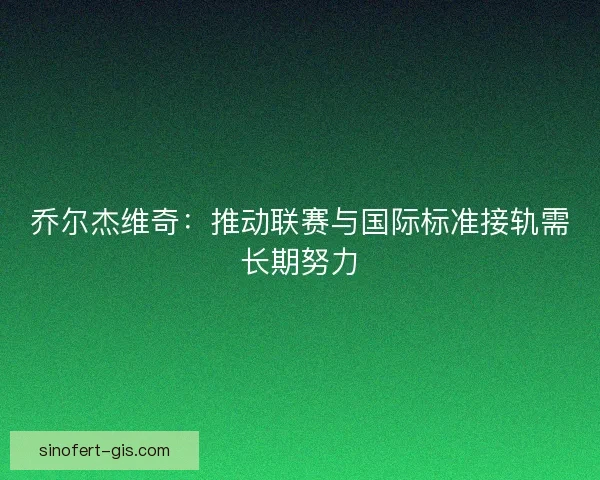 乔尔杰维奇：推动联赛与国际标准接轨需长期努力